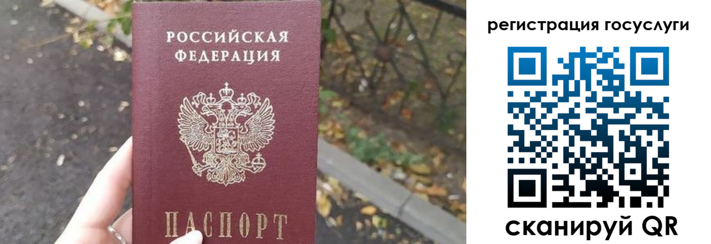 купить прописку в Кондрово